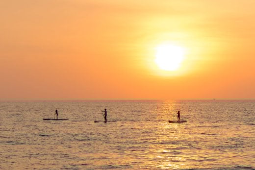 스탠드업 패들보드(SUP) 체험