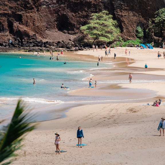 하와이 빅 아일랜드에서 하이킹하기