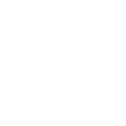 파라다이스 오리지널