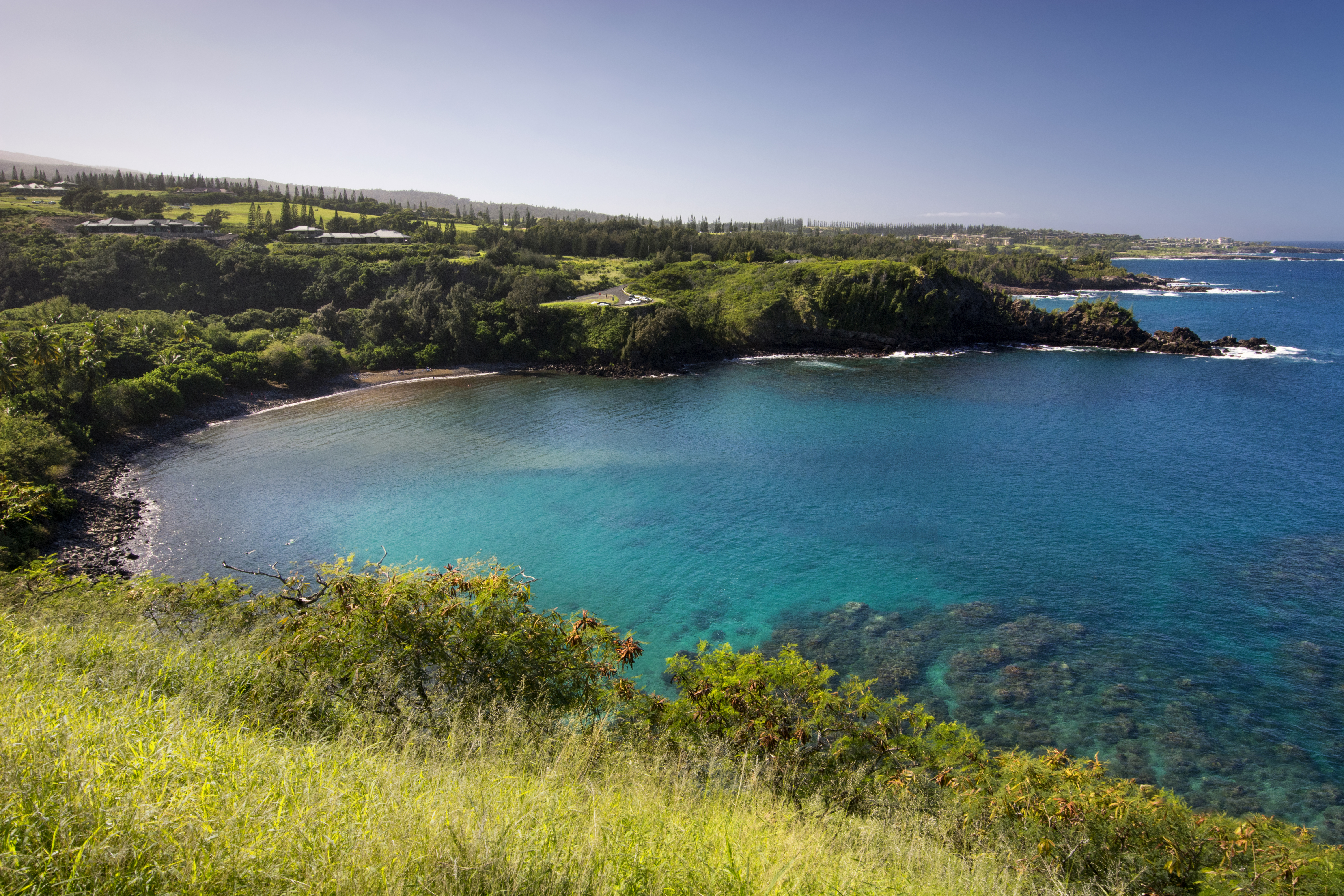 Honolua Bay