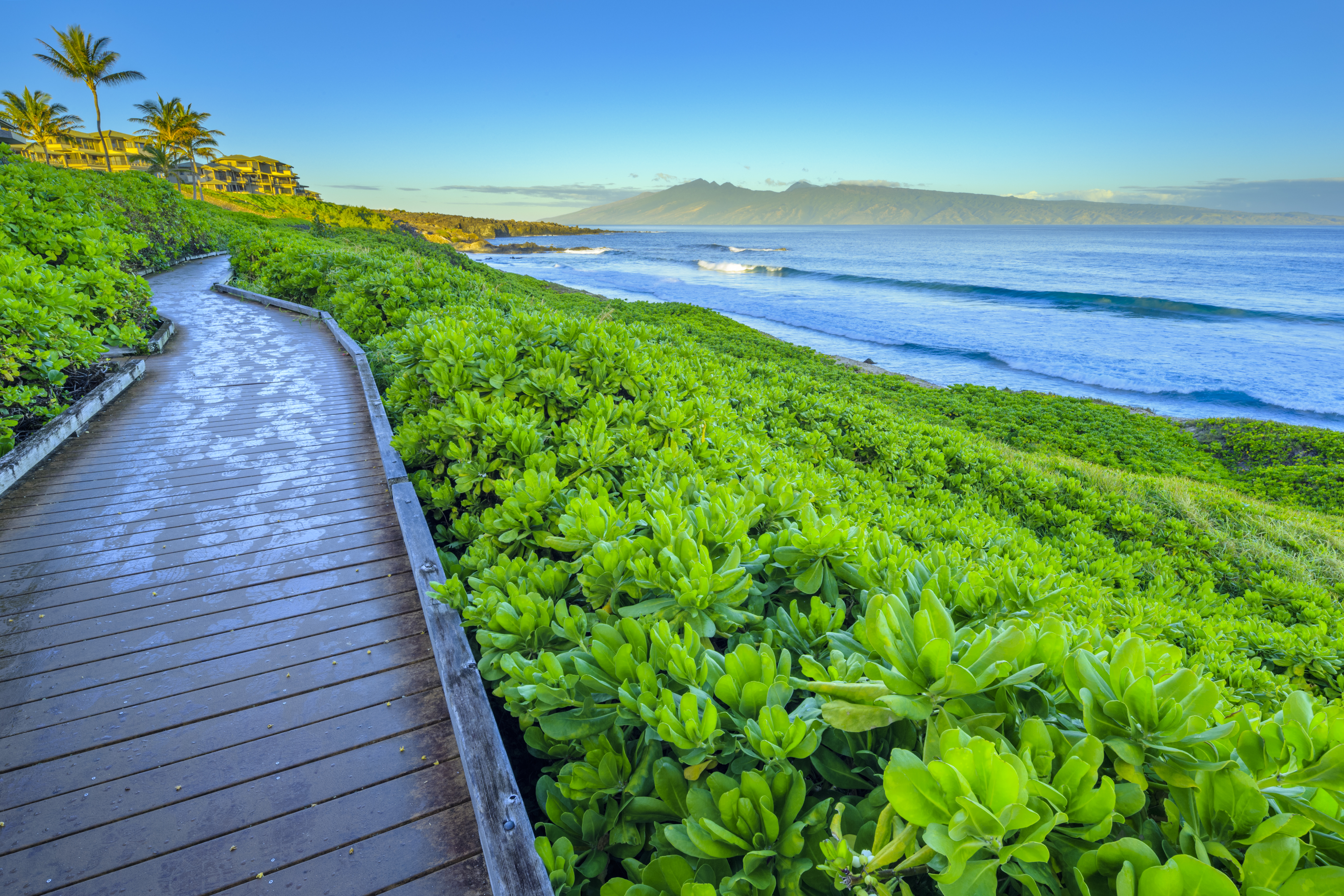 Kapalua Coastal Trail