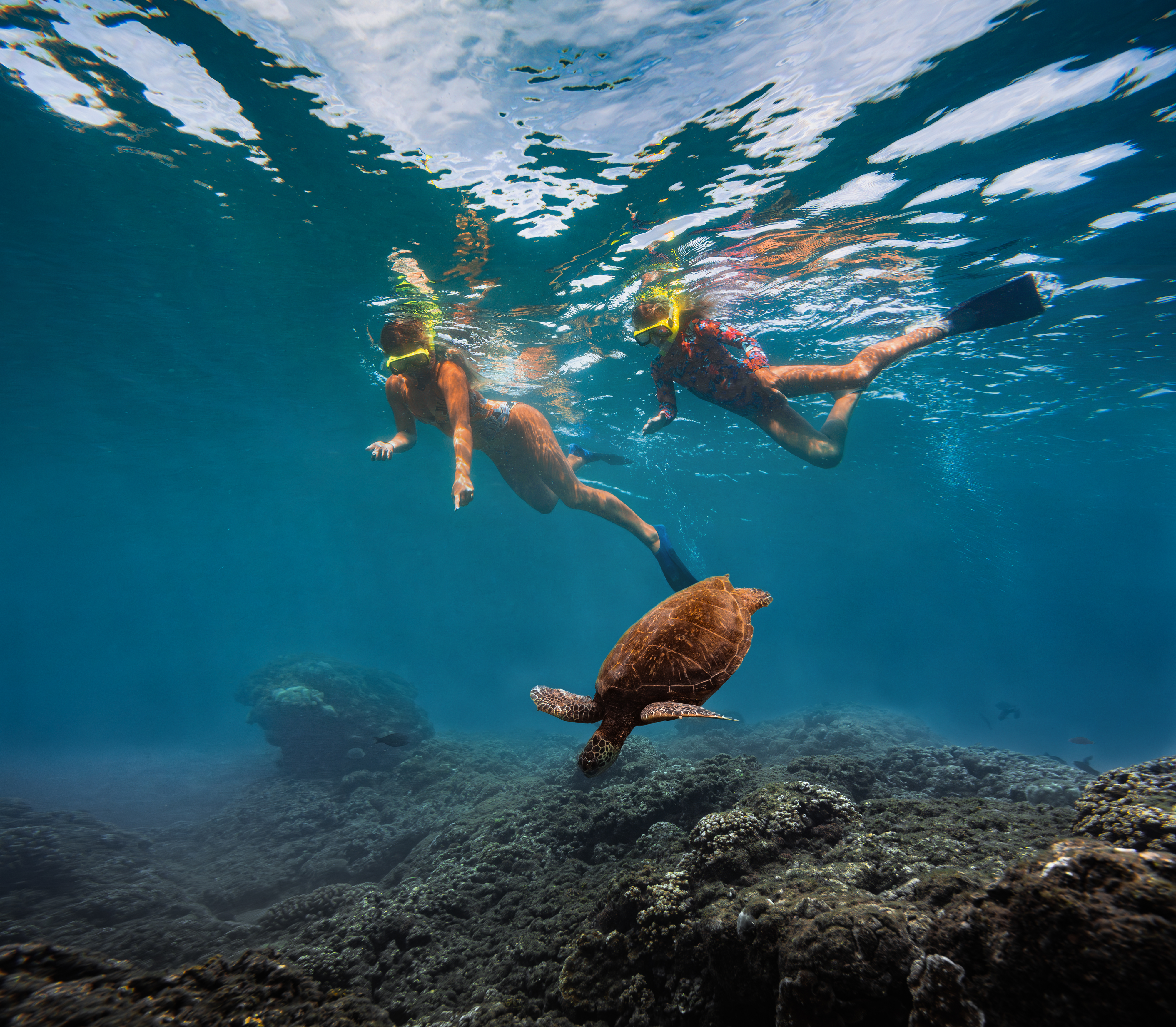 Snorkeling on Maui