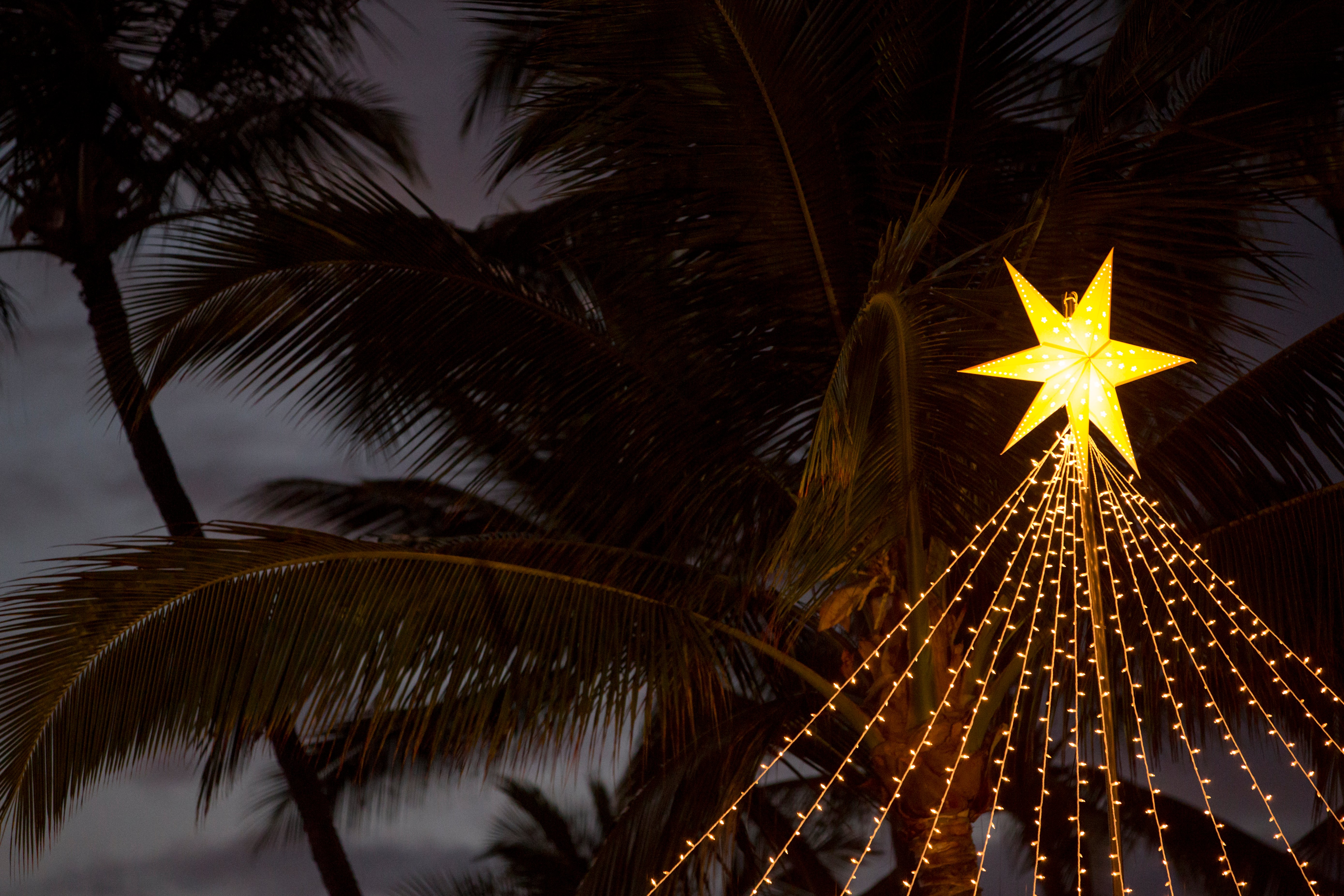 Holiday lights on the beach